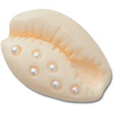Crocs|Pearl Puka Shell Jibbitz™ charms