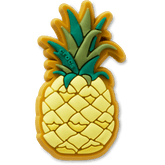 Crocs|Perfect Pineapple Jibbitz™ charms