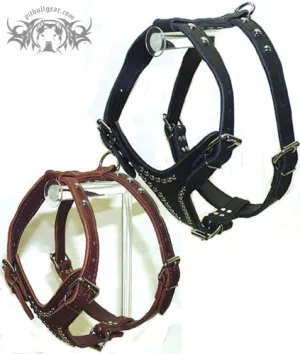 2-Ply Latigo Leather Dog Harness w/Studs